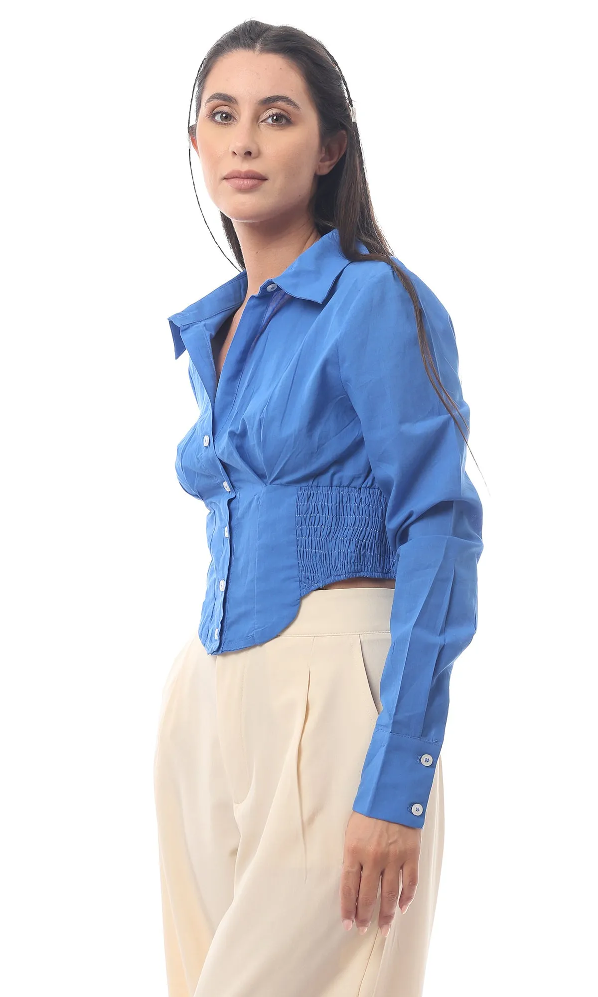 O169596-S23W480-BLUE (WLS)